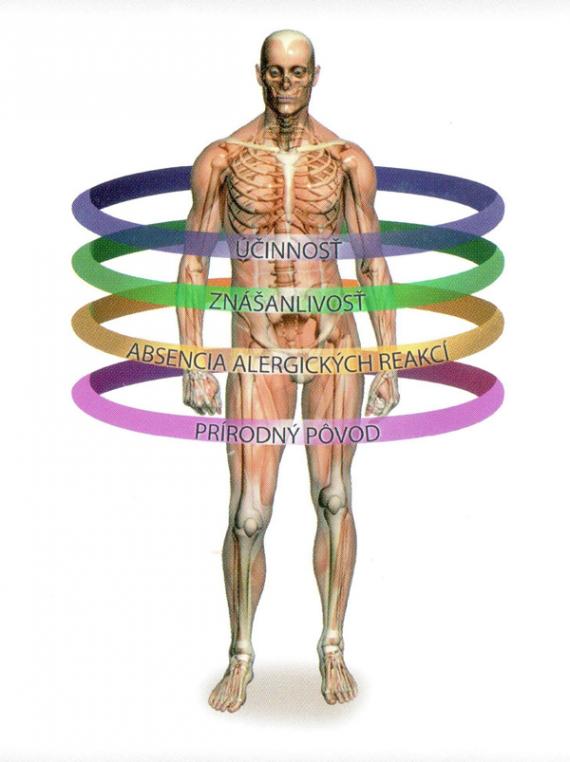 body.jpg body.jpg